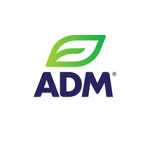 Início 15 parceiros